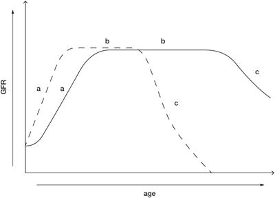 Physiology and Pathophysiology of Compensatory Adaptations of a Solitary Functioning Kidney